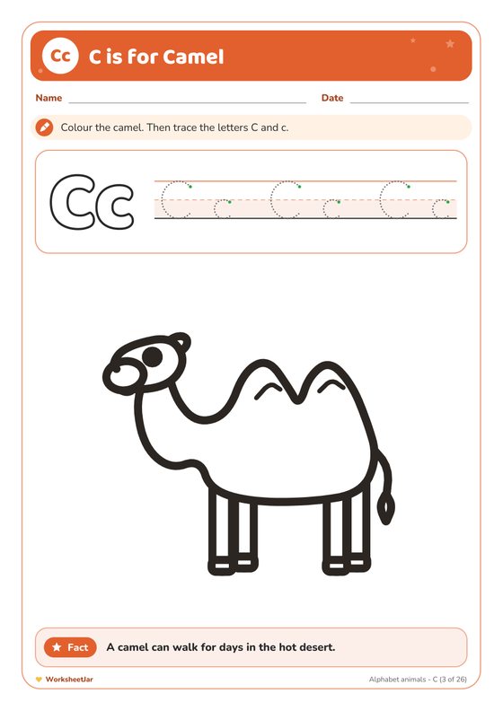 Alphabet Animals Colouring Book - inside page 3