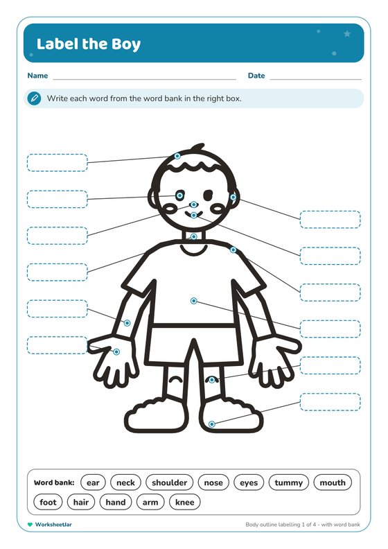Body Parts Labelling Worksheets - inside page 1