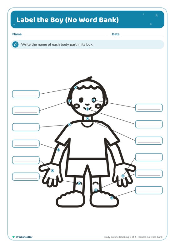 Body Parts Labelling Worksheets - inside page 3