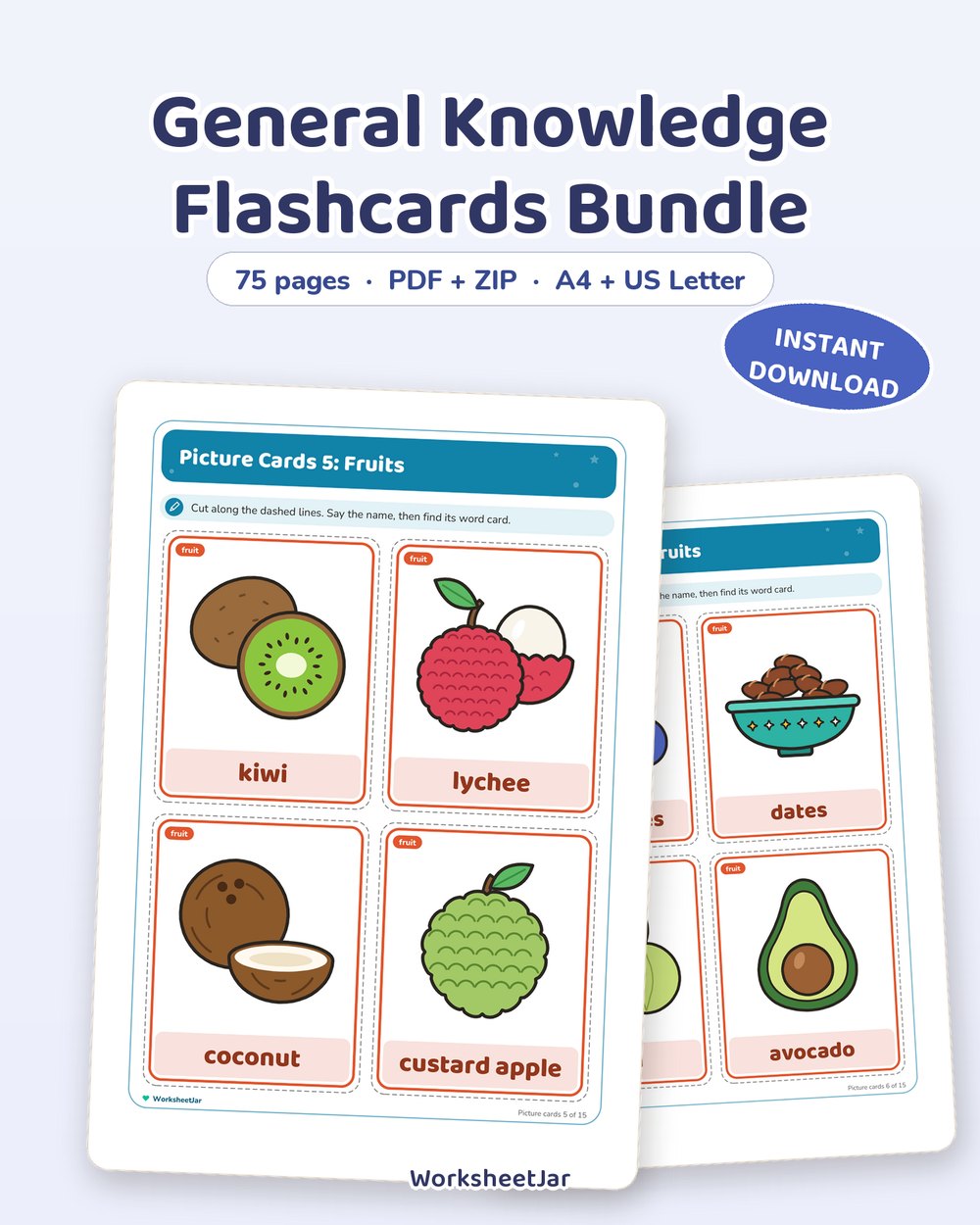 General Knowledge Flashcards Bundle | Food, Animals and Body - printable general knowledge PDF, page preview