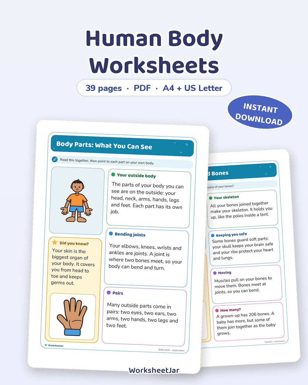 Human Body Worksheets | Labelling, Senses and Systems - printable general knowledge PDF, page preview